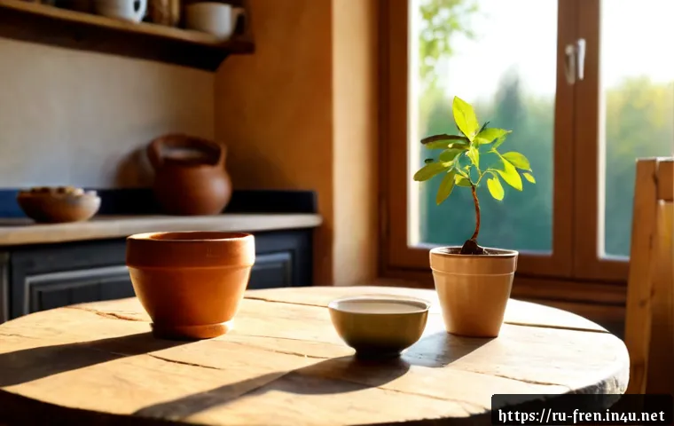 Home 17 프랑스어 속담과 관용구 - Photorealistic still life illustrating French proverbs: a rustic wooden table in a sunlit countrysid...